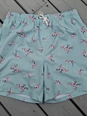 Ocean Current Mint Green Swim Trunks with Pink Flamingo Print